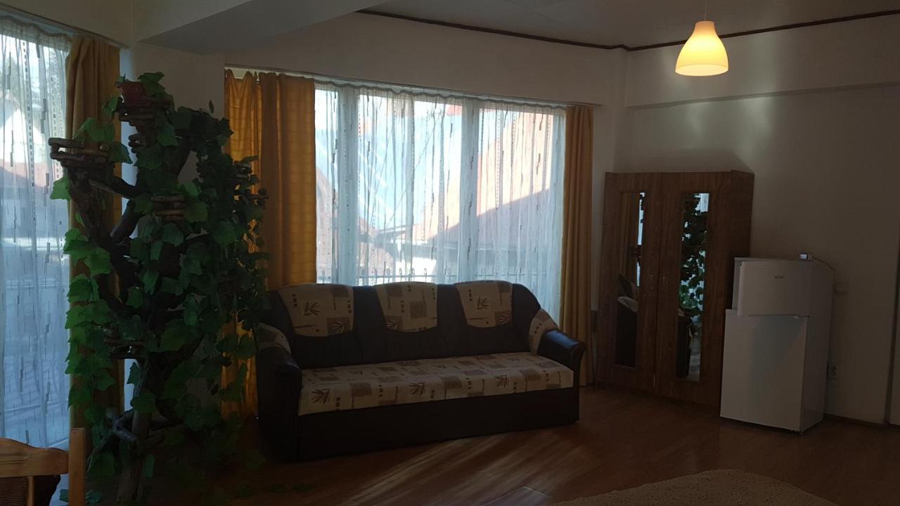 Pensiunea Casa Noastra Hotel ซินายา ภายนอก รูปภาพ